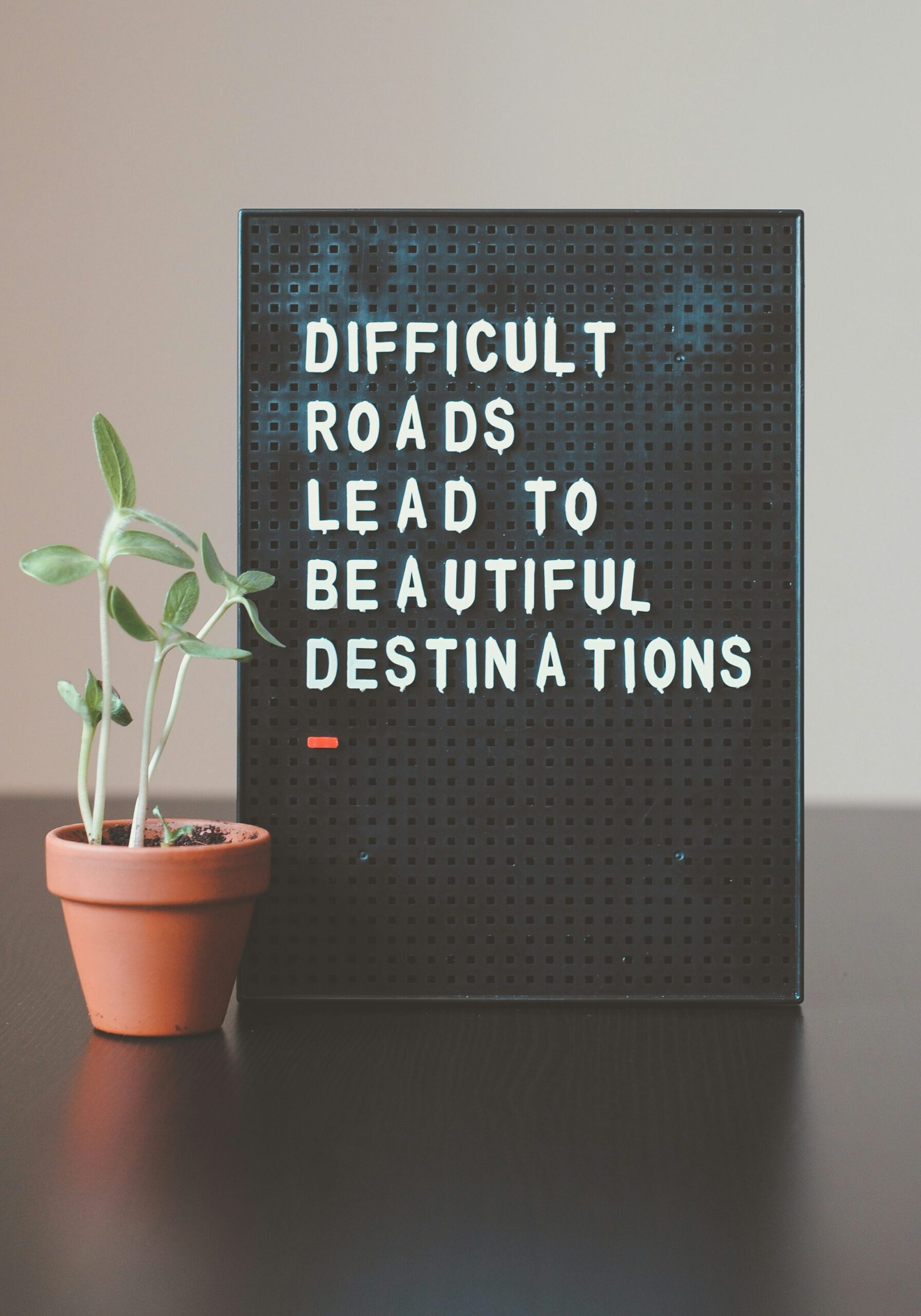nik-z1d-LP8sjuI-unsplash nik-z1d-LP8sjuI-unsplash